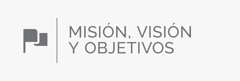 Mision Vision y Objetivos
